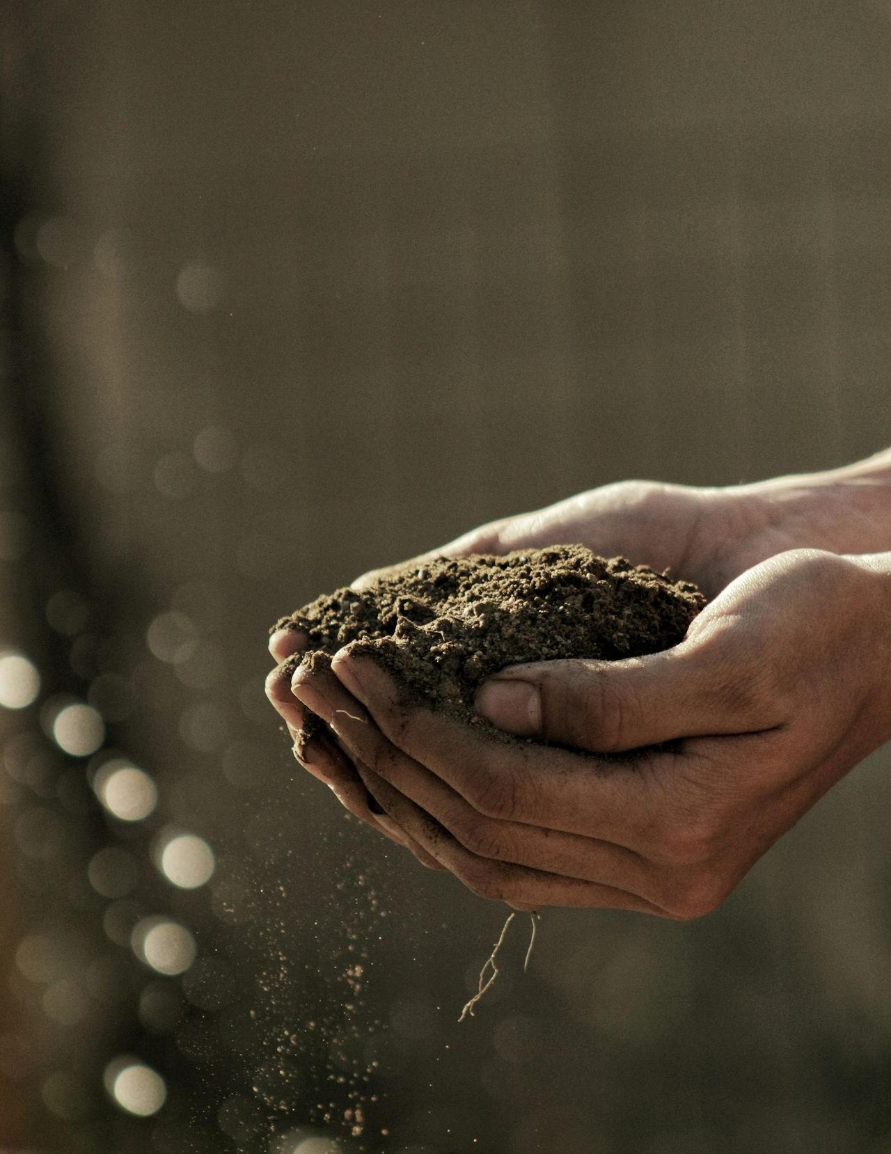 bokeh photography of person carrying soil